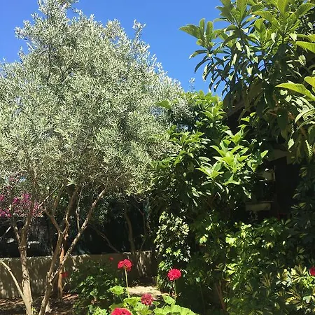 Umut & Beach Selimiye Guest house