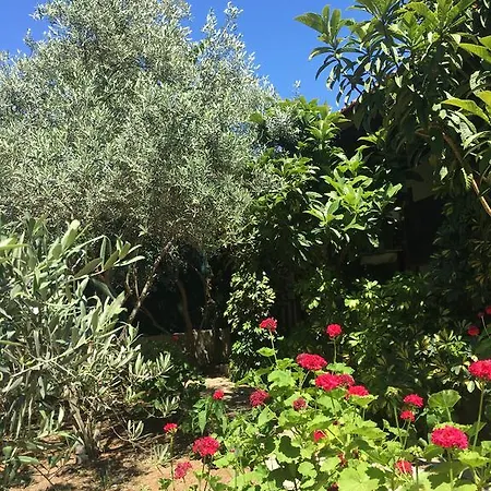 Umut & Beach Selimiye