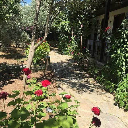 Umut & Beach Selimiye Guest house *