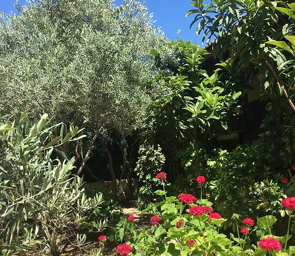 Umut & Beach Selimiye